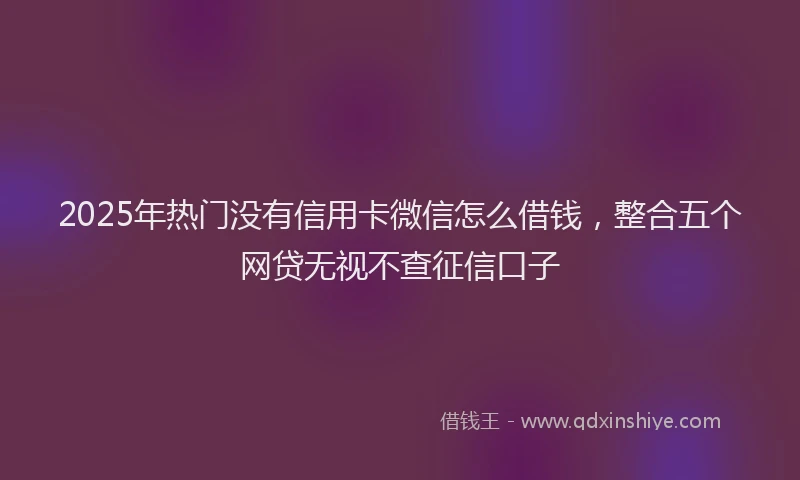 2025年热门没有信用卡微信怎么借钱，整合五个网贷无视不查征信口子