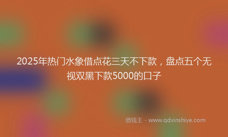 2025年热门水象借点花三天不下款，盘点五个无视双黑下款5000的口子