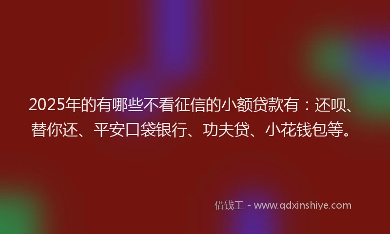 2025年的有哪些不看征信的小额贷款有：还呗、替你还、平安口袋银行、功夫贷、小花钱包等。