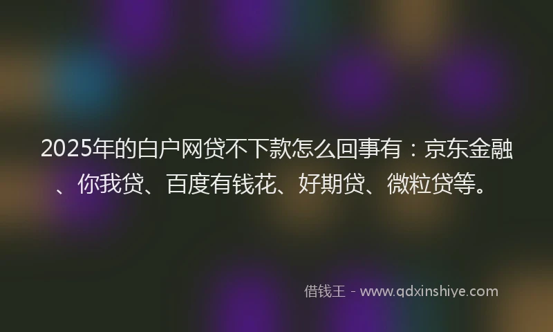 2025年的白户网贷不下款怎么回事有：京东金融、你我贷、百度有钱花、好期贷、微粒贷等。