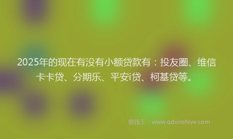 2025年的现在有没有小额贷款有：投友圈、维信卡卡贷、分期乐、平安i贷、柯基贷等。