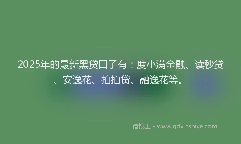 2025年的最新黑贷口子有：度小满金融、读秒贷、安逸花、拍拍贷、融逸花等。