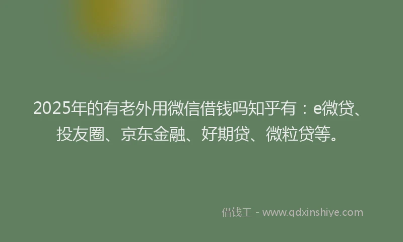 2025年的有老外用微信借钱吗知乎有：e微贷、投友圈、京东金融、好期贷、微粒贷等。
