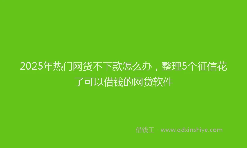 2025年热门网货不下款怎么办，整理5个征信花了可以借钱的网贷软件