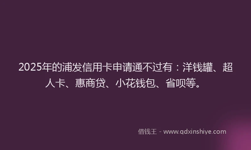 2025年的浦发信用卡申请通不过有：洋钱罐、超人卡、惠商贷、小花钱包、省呗等。