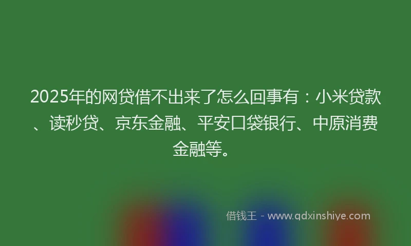2025年的网贷借不出来了怎么回事有：小米贷款、读秒贷、京东金融、平安口袋银行、中原消费金融等。