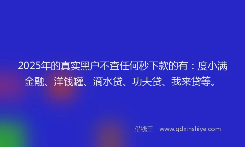 2025年的真实黑户不查任何秒下款的有：度小满金融、洋钱罐、滴水贷、功夫贷、我来贷等。