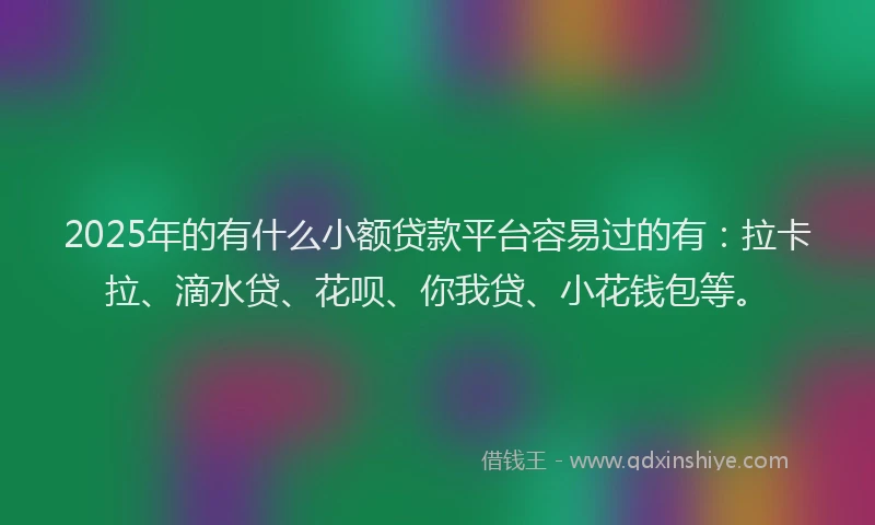 2025年的有什么小额贷款平台容易过的有：拉卡拉、滴水贷、花呗、你我贷、小花钱包等。