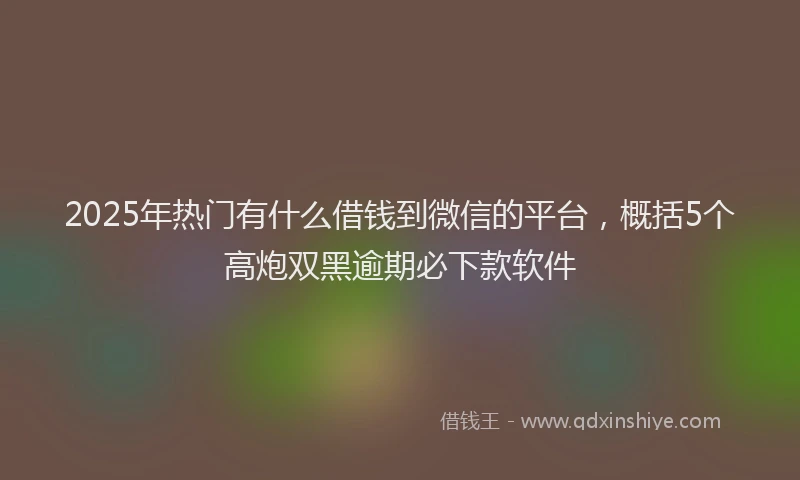 2025年热门有什么借钱到微信的平台，概括5个高炮双黑逾期必下款软件