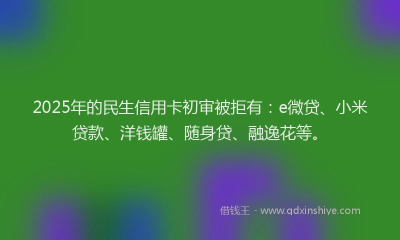 2025年的民生信用卡初审被拒有：e微贷、小米贷款、洋钱罐、随身贷、融逸花等。