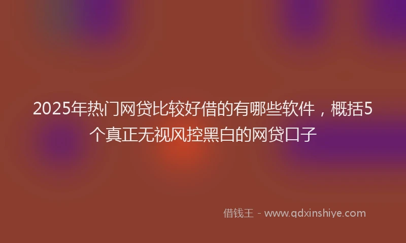 2025年热门网贷比较好借的有哪些软件，概括5个真正无视风控黑白的网贷口子