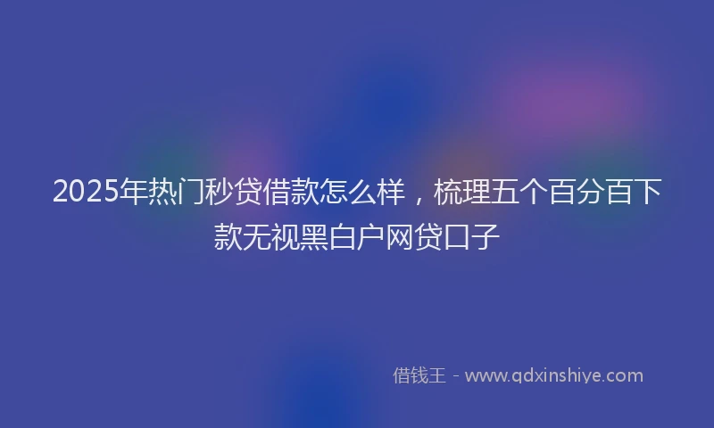 2025年热门秒贷借款怎么样，梳理五个百分百下款无视黑白户网贷口子