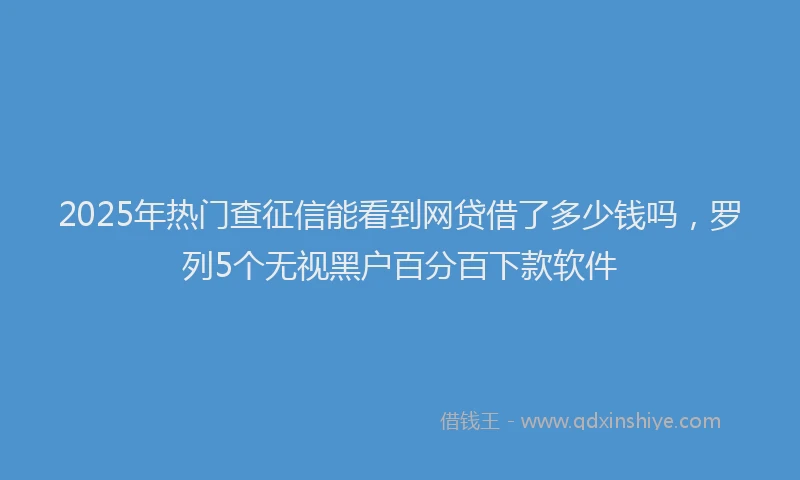 2025年热门查征信能看到网贷借了多少钱吗，罗列5个无视黑户百分百下款软件