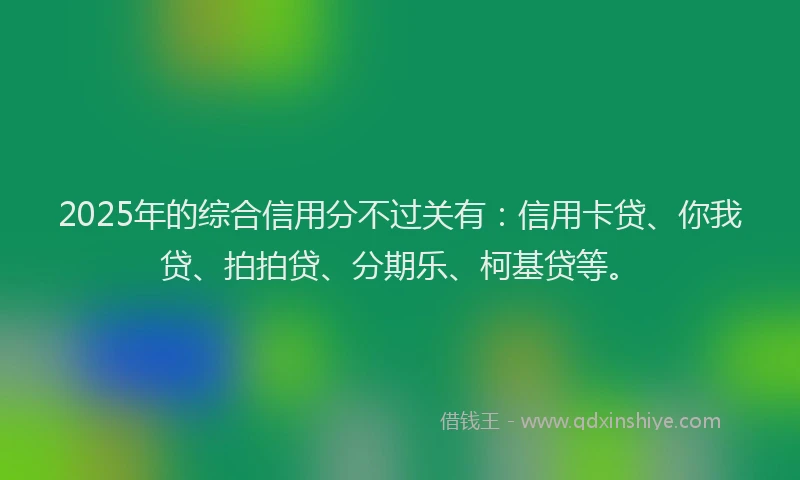 2025年的综合信用分不过关有：信用卡贷、你我贷、拍拍贷、分期乐、柯基贷等。
