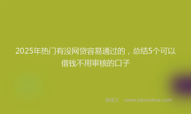 2025年热门有没网贷容易通过的，总结5个可以借钱不用审核的口子