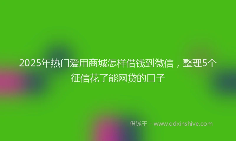 2025年热门爱用商城怎样借钱到微信，整理5个征信花了能网贷的口子