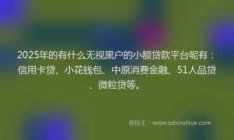 2025年的有什么无视黑户的小额贷款平台呢有：信用卡贷、小花钱包、中原消费金融、51人品贷、微粒贷等。