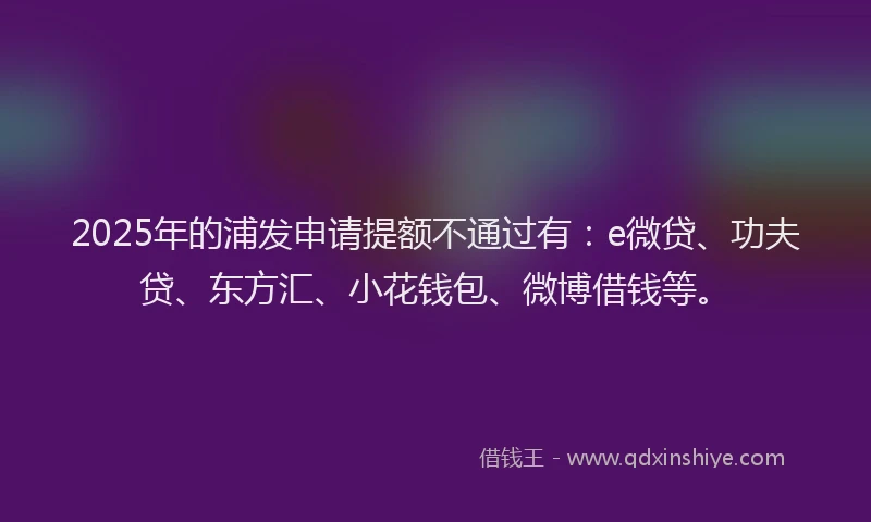 2025年的浦发申请提额不通过有：e微贷、功夫贷、东方汇、小花钱包、微博借钱等。