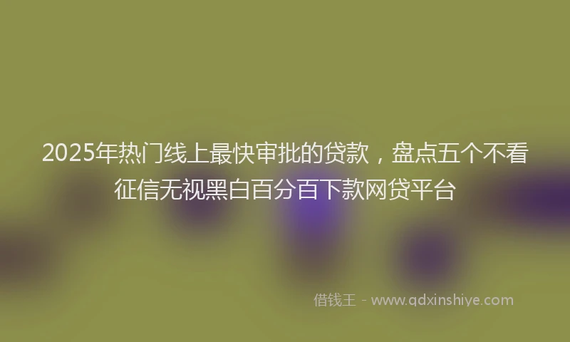 2025年热门线上最快审批的贷款，盘点五个不看征信无视黑白百分百下款网贷平台