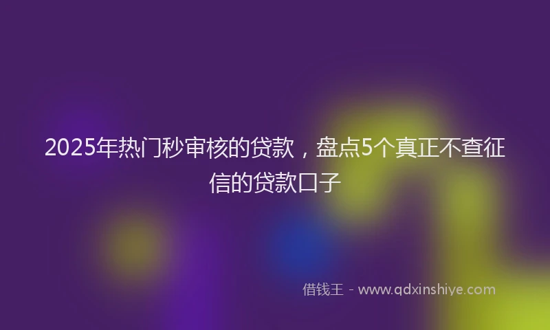 2025年热门秒审核的贷款，盘点5个真正不查征信的贷款口子