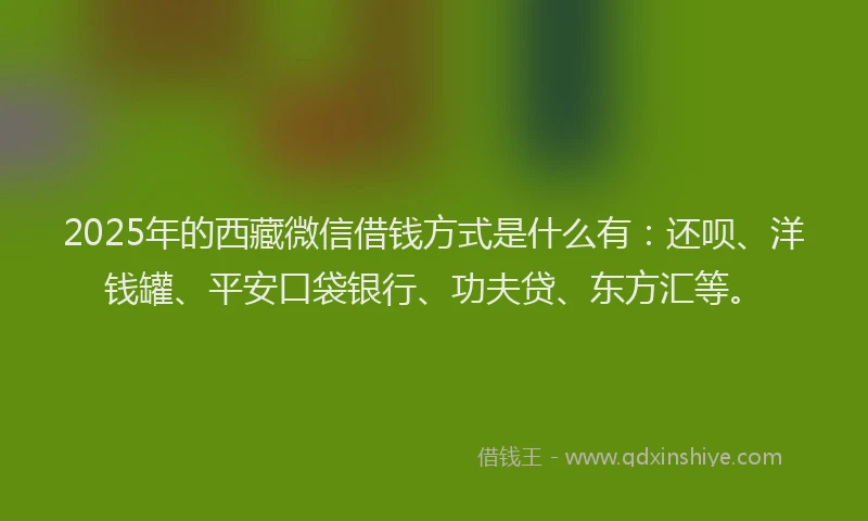 2025年的西藏微信借钱方式是什么有：还呗、洋钱罐、平安口袋银行、功夫贷、东方汇等。