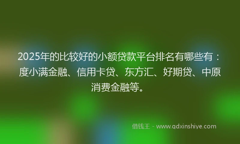 2025年的比较好的小额贷款平台排名有哪些有：度小满金融、信用卡贷、东方汇、好期贷、中原消费金融等。