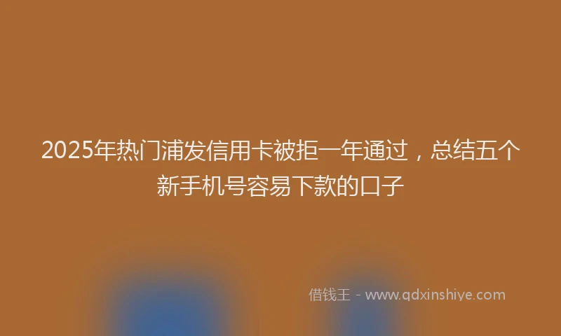 2025年热门浦发信用卡被拒一年通过，总结五个新手机号容易下款的口子