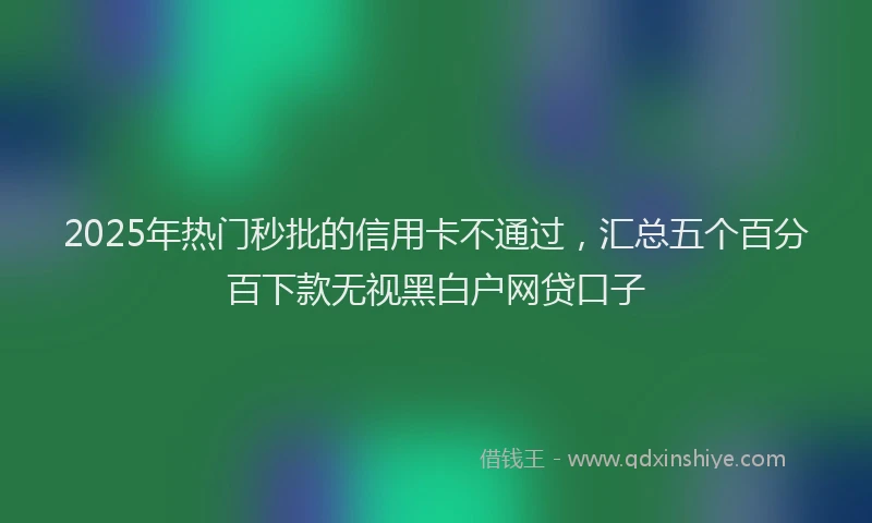 2025年热门秒批的信用卡不通过，汇总五个百分百下款无视黑白户网贷口子