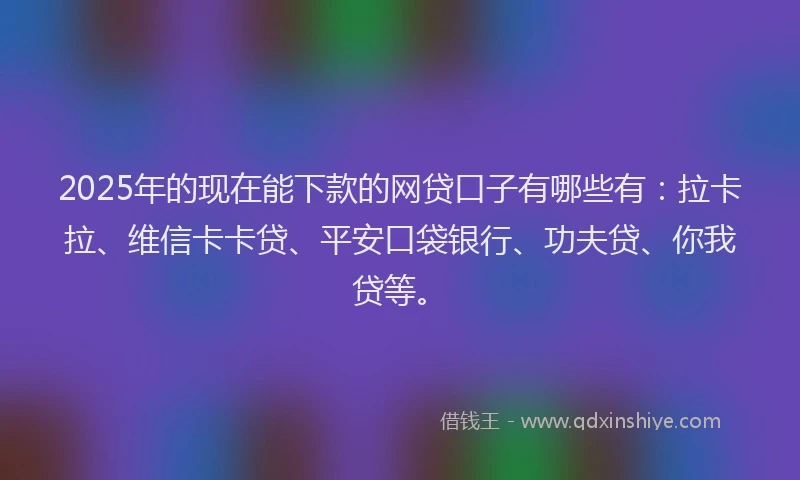 2025年的现在能下款的网贷口子有哪些有：拉卡拉、维信卡卡贷、平安口袋银行、功夫贷、你我贷等。