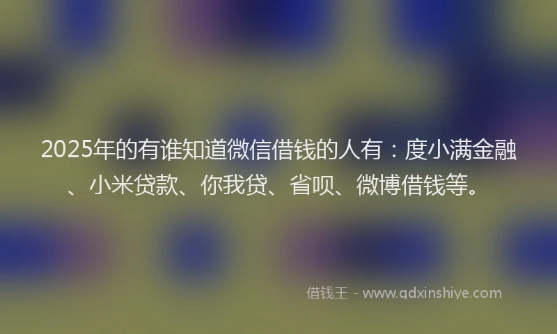 2025年的有谁知道微信借钱的人有：度小满金融、小米贷款、你我贷、省呗、微博借钱等。
