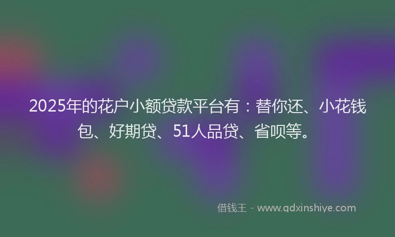 2025年的花户小额贷款平台有：替你还、小花钱包、好期贷、51人品贷、省呗等。