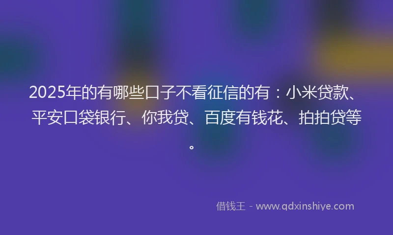2025年的有哪些口子不看征信的有：小米贷款、平安口袋银行、你我贷、百度有钱花、拍拍贷等。