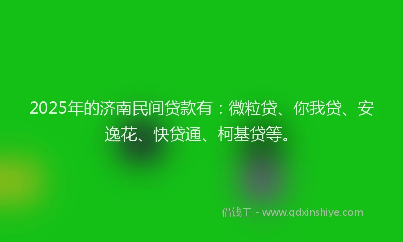 2025年的济南民间贷款有：微粒贷、你我贷、安逸花、快贷通、柯基贷等。