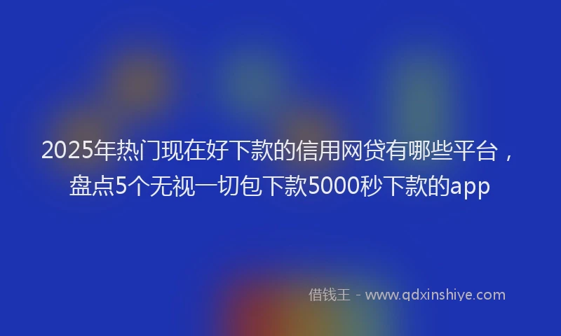 2025年热门现在好下款的信用网贷有哪些平台，盘点5个无视一切包下款5000秒下款的app