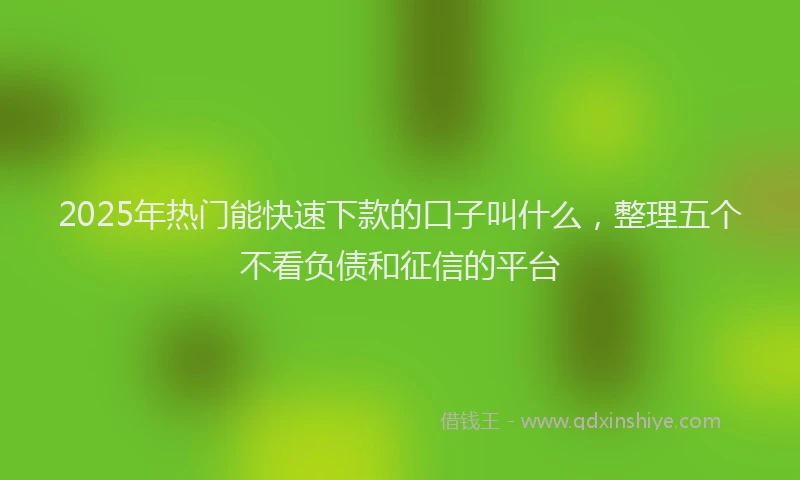 2025年热门能快速下款的口子叫什么，整理五个不看负债和征信的平台