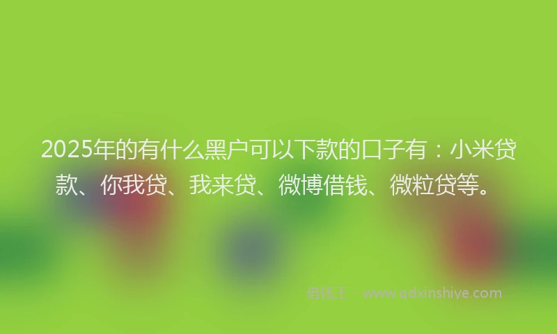 2025年的有什么黑户可以下款的口子有：小米贷款、你我贷、我来贷、微博借钱、微粒贷等。