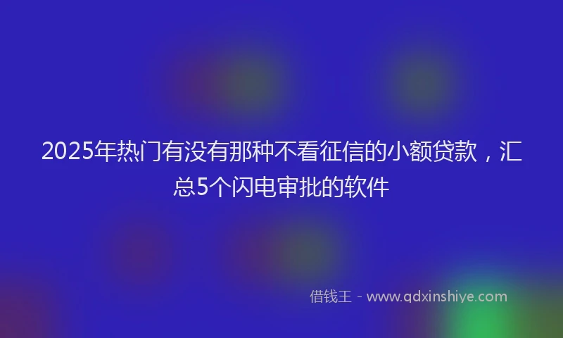 2025年热门有没有那种不看征信的小额贷款，汇总5个闪电审批的软件