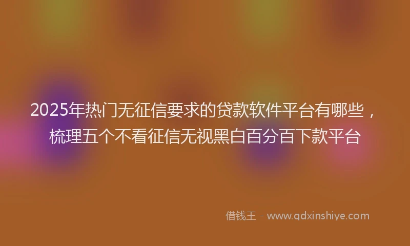 2025年热门无征信要求的贷款软件平台有哪些，梳理五个不看征信无视黑白百分百下款平台