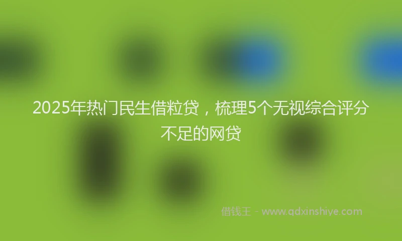 2025年热门民生借粒贷，梳理5个无视综合评分不足的网贷