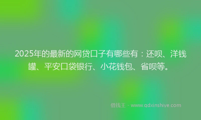2025年的最新的网贷口子有哪些有：还呗、洋钱罐、平安口袋银行、小花钱包、省呗等。