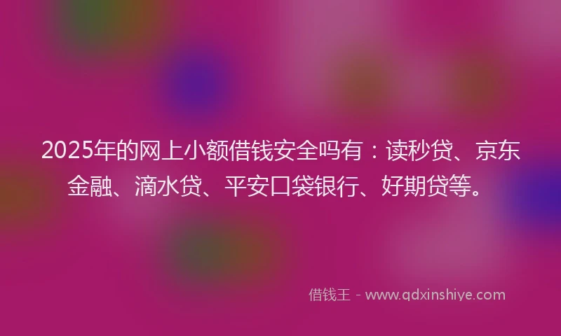 2025年的网上小额借钱安全吗有：读秒贷、京东金融、滴水贷、平安口袋银行、好期贷等。