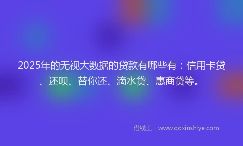 2025年的无视大数据的贷款有哪些有：信用卡贷、还呗、替你还、滴水贷、惠商贷等。