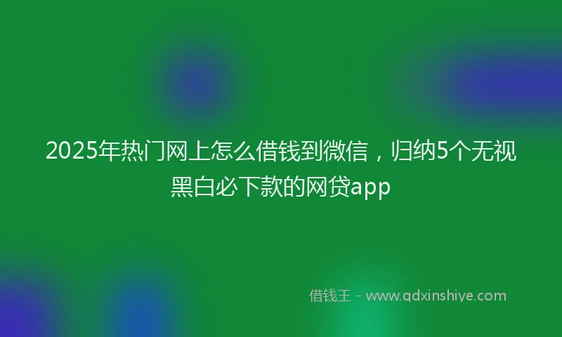 2025年热门网上怎么借钱到微信，归纳5个无视黑白必下款的网贷app