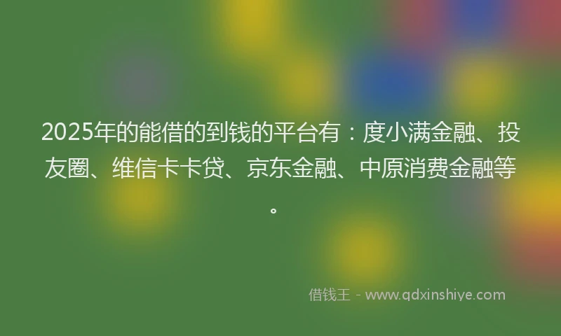 2025年的能借的到钱的平台有：度小满金融、投友圈、维信卡卡贷、京东金融、中原消费金融等。