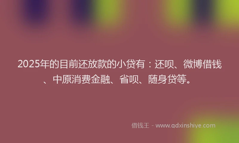 2025年的目前还放款的小贷有：还呗、微博借钱、中原消费金融、省呗、随身贷等。