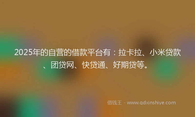 2025年的自营的借款平台有：拉卡拉、小米贷款、团贷网、快贷通、好期贷等。