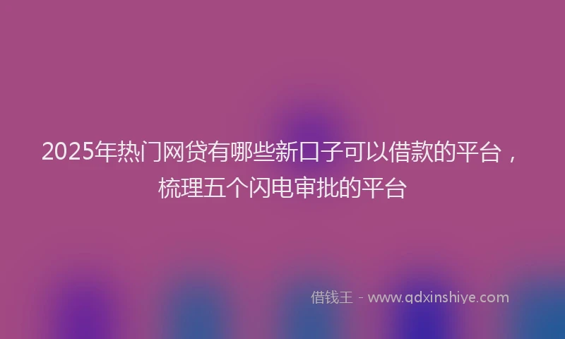 2025年热门网贷有哪些新口子可以借款的平台，梳理五个闪电审批的平台