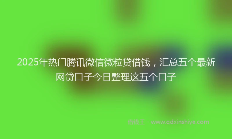 2025年热门腾讯微信微粒贷借钱，汇总五个最新网贷口子今日整理这五个口子