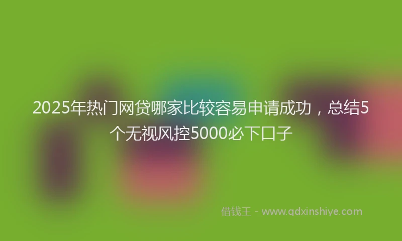 2025年热门网贷哪家比较容易申请成功，总结5个无视风控5000必下口子