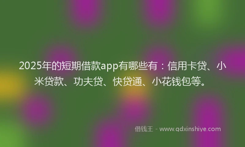 2025年的短期借款app有哪些有：信用卡贷、小米贷款、功夫贷、快贷通、小花钱包等。